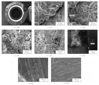 SEM morphology of the fracture surface of the No. 1 reducer