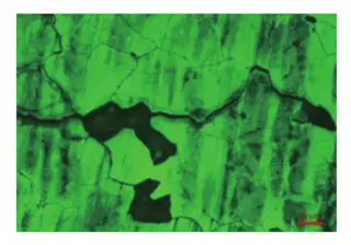 Metallographic structure of No. 5 elbow weld joint and base material