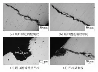 Microscopic Morphology of Specimen No. 1