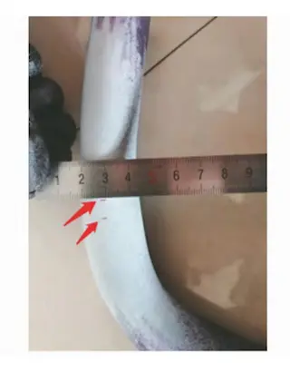 Penetration test results revealing linear surface defects around the leakage area