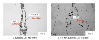 Microstructure of austenitic stainless steel phases under different service conditions