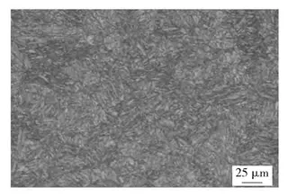 Metallographic Structure of Specimen No. 1