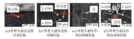 SEM Morphology of Elbow Crack