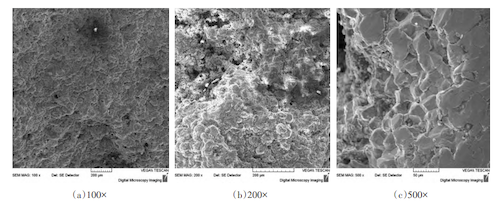Microscopic morphology of the flange fracture surface Microscopic morphology of the flange fracture surface