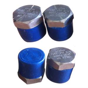 Hexagon Head Plug, ASTM A182 F51, MNPT