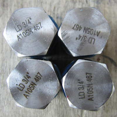 NPT Hexagon Plug, ASTM A105N, PN100, DN20