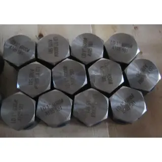 ASTM A105 Hexagon Plugs, ASME B16.11, 1 Inch, CL6000, MNPT