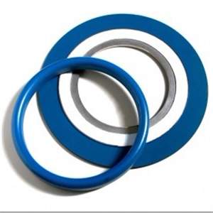 ANSI Soft Iron Gasket, PTFE Xylan Coated