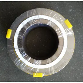 Stainless Steel SPWD Gasket, ASME B16.20, SS 304, Graphite