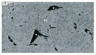 The SEM photo of impurities