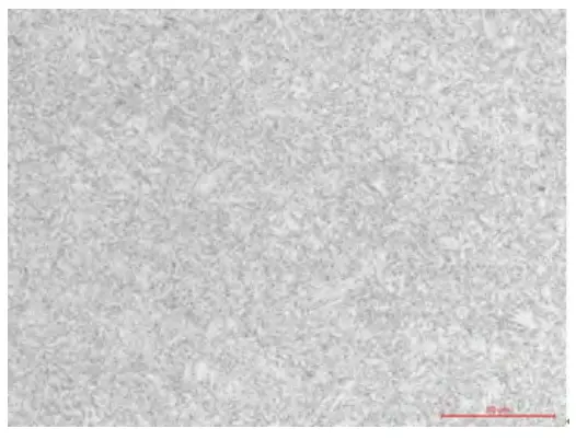 Metallographic photo of the elbow’s cladding layer