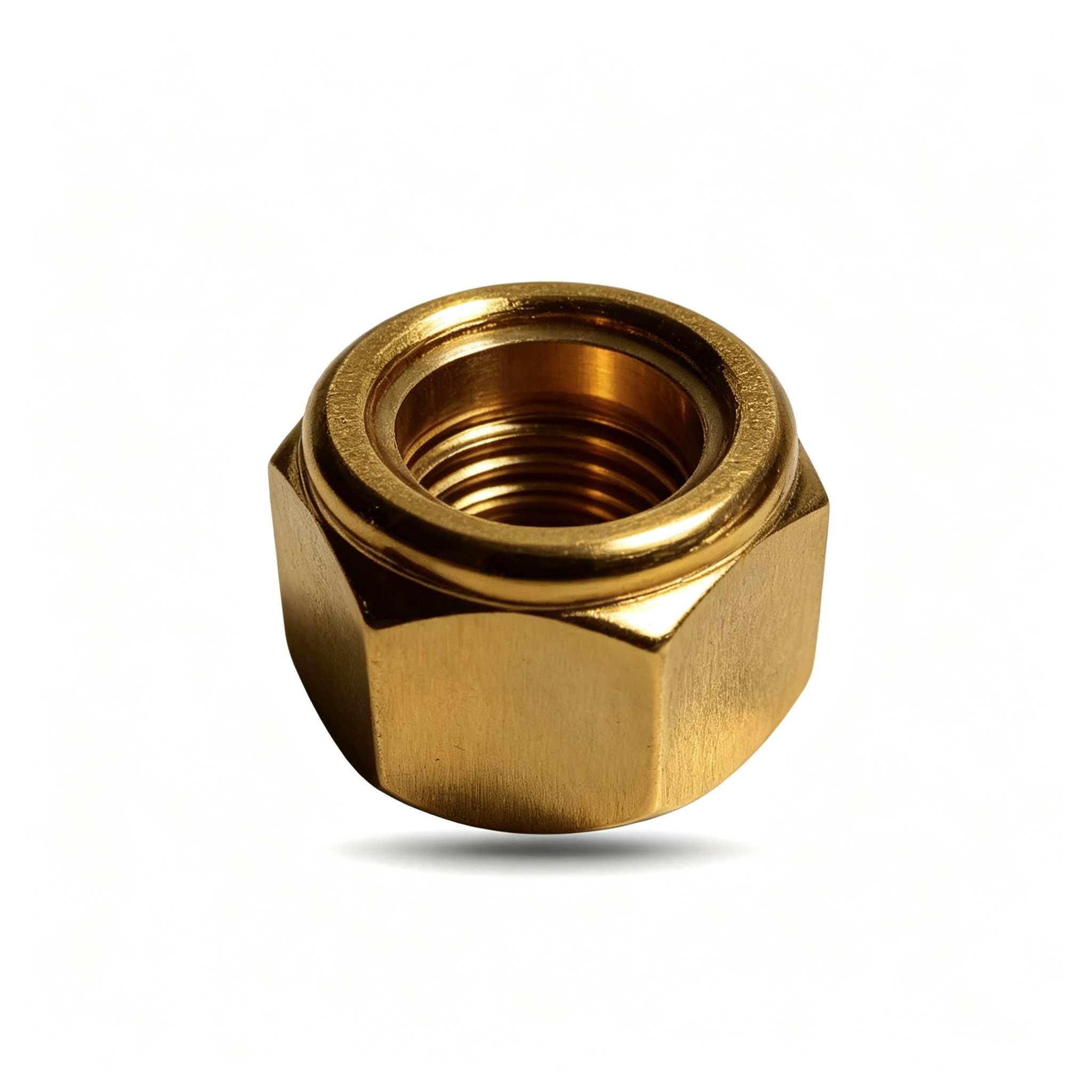 Nylon Insert Hex Lock Nut