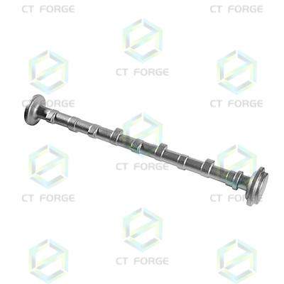 Carbon Steel Camshaft Forging, Automobile Components