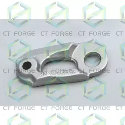 Forged Carbon Steel Components, Customized Size, 1-100 KG