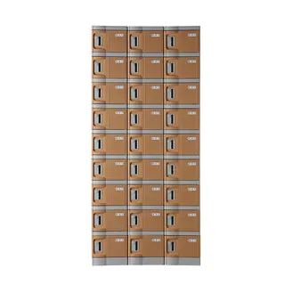 Plastic Mini Lockers, Coffee Colour