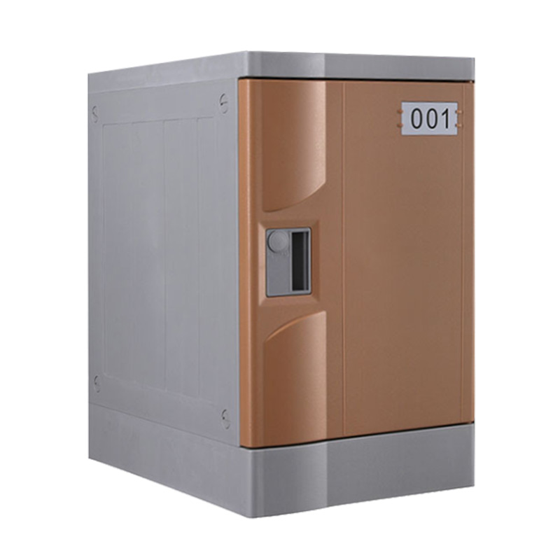 ABS Plastic Gym lockers, Coffee Color