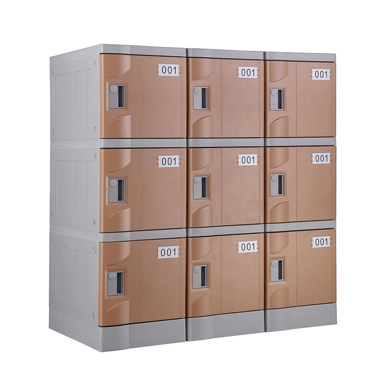 ABS Plastic Storage lockers, Coffee Color