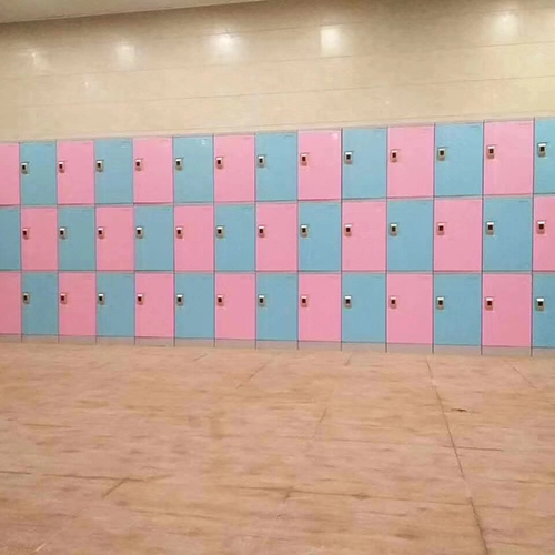 abs-plastic-storage-lockers-multiple-colors-pink-and-blue.jpg