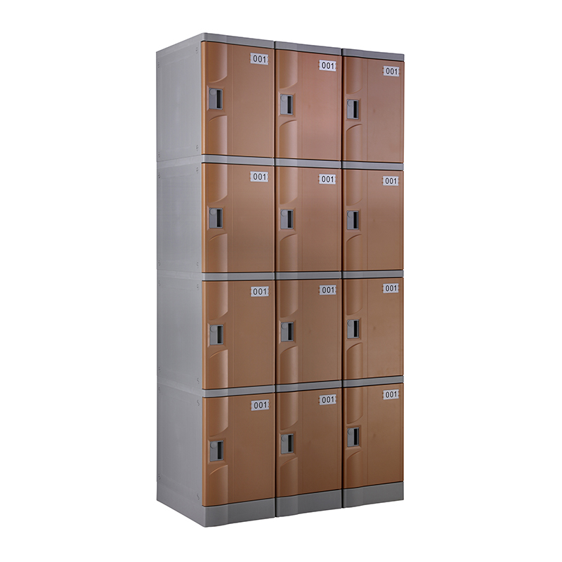 ABS Plastic Gym lockers, Coffee Color