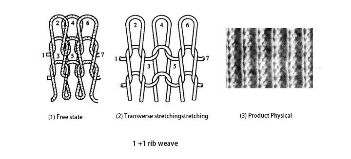 Rib Knit Structure Rib Knit Structure