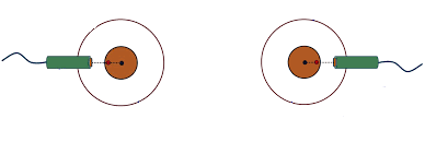 Adjustment Methods for Spindle and Needle Plate Circularity and Flatness