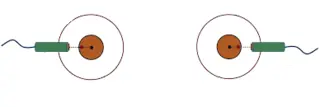 Adjustment Methods for Spindle and Needle Plate Circularity and Flatness