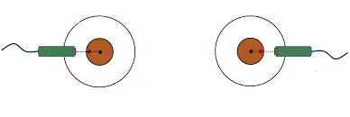 Adjustment Methods for Spindle and Needle Plate Circularity and Flatness