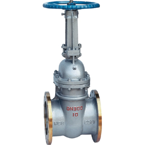 DIN Rising Stem Gate Valve, WCB