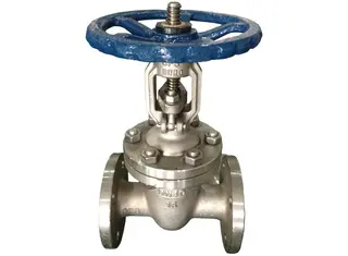 API Cast Steel Gate Valve, Bolted Bonnet 
