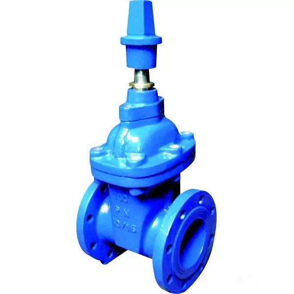 DIN Resilient Seated Gate Valve, Cast Steel