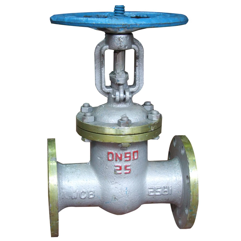 Valves Used for Petrochemical Industry in China Overview
