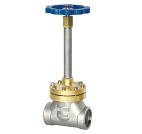 Extension Stem Cryogenic Globe Valve, Forged Steel