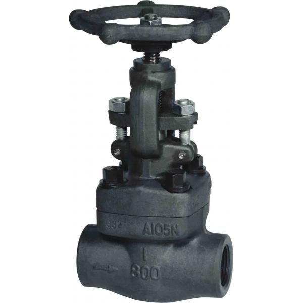 Forged Steel Threaded Globe Valve, OS&Y