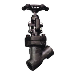 Y Pattern Forged Steel Globe Valve, Welded Bonnet