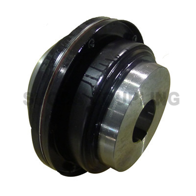 Resilient Grid Coupling, Flexible