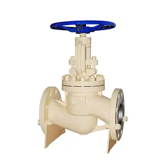 Globe Valve