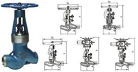 External Leakages of Power Station Valves