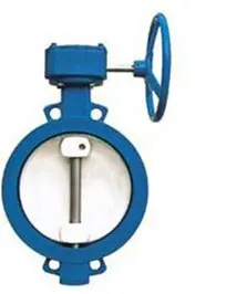 what-are-the-differences-between-common-butterfly-valves-single.jpg