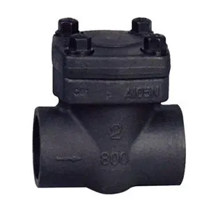 Welded Check Valve