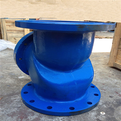 Rubber Disc Check Valve