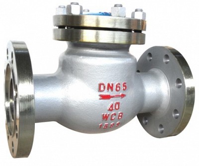 Swing Check Valve