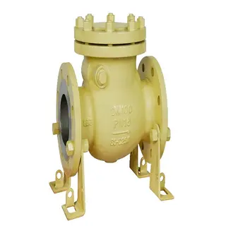 DIN EN 14341 Check Valve, Swing Type, DN15-DN600, PN6-PN100