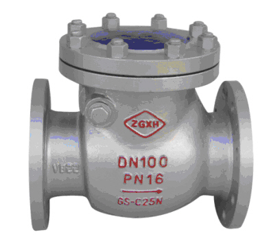 Swing Check Valves: DIN 3840, BS EN 1868, EN 14341