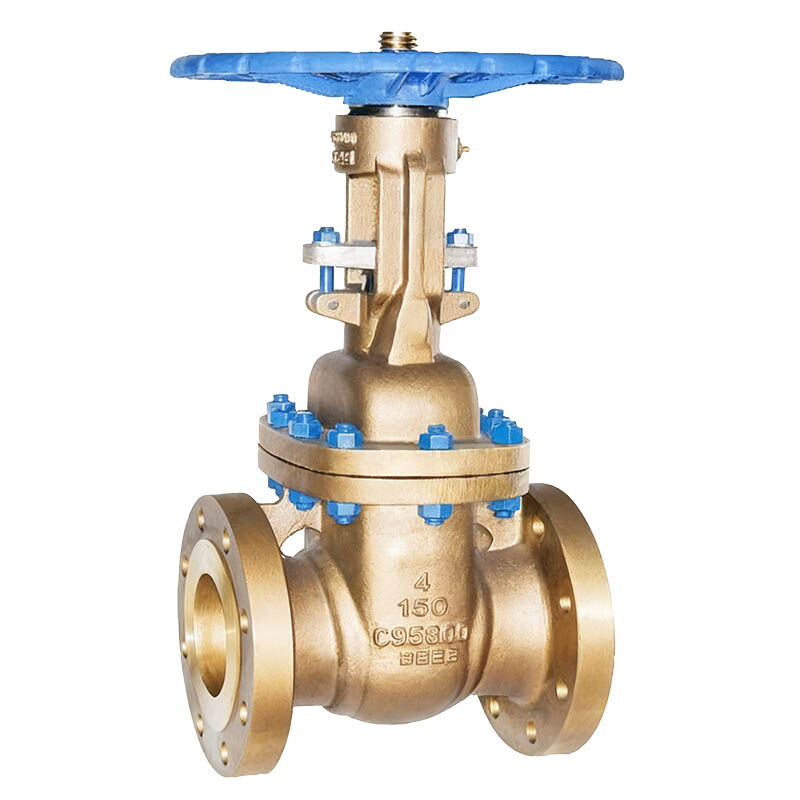 API 600 Gate Valve