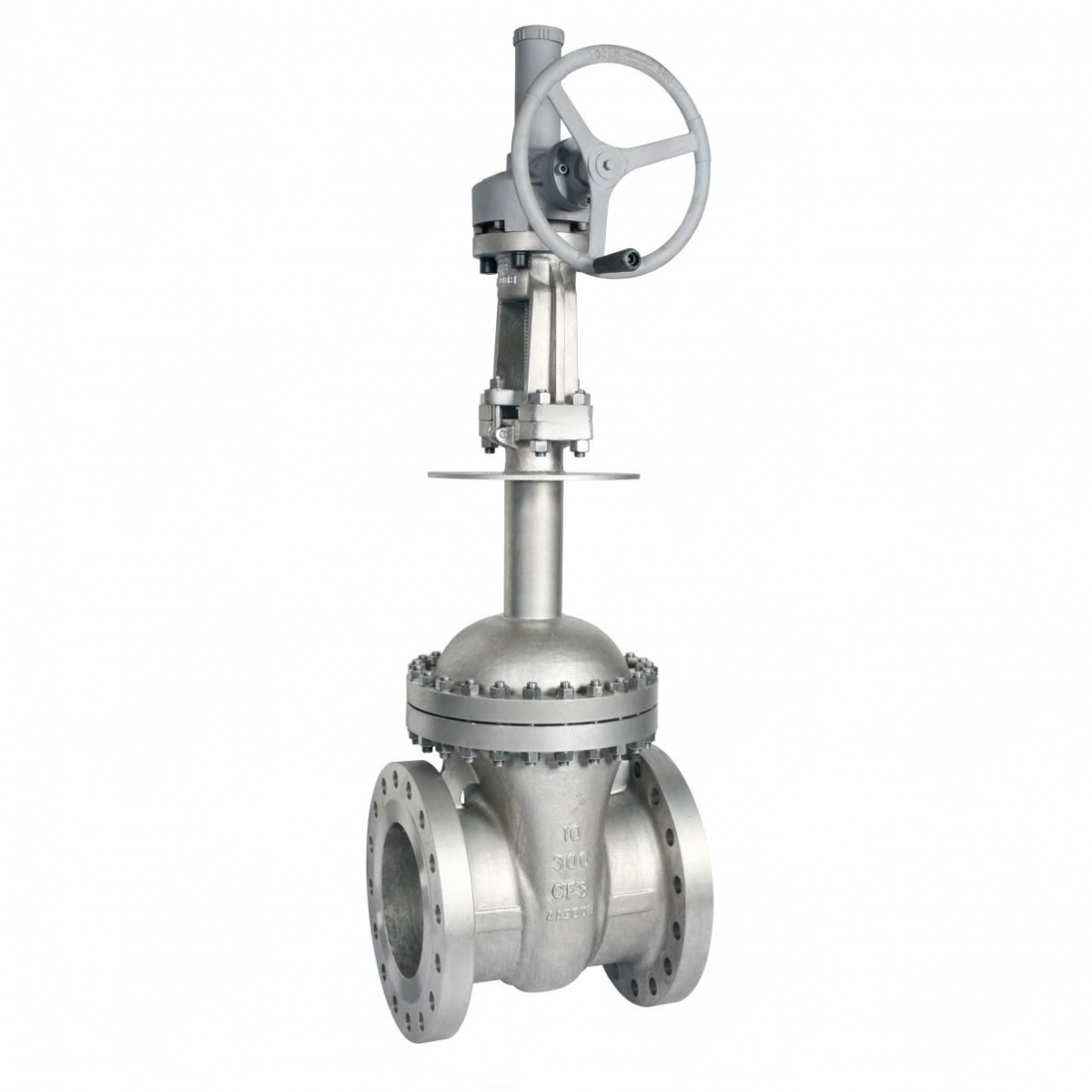 Cryogenic Gate Valve, CF8, 10 Inch, Class 300, Extended Bonnet, RF