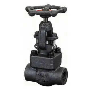Forged Steel Gate Valves: API 602