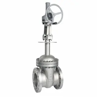 Cryogenic Gate Valve, CF8, 10 Inch, Class 300, Extended Bonnet, RF