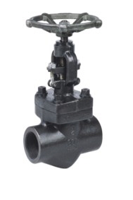 Forged Steel Globe Valves: API 602