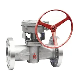 Sleeved Soft Sealing Plug Valves: API 599, API 6D