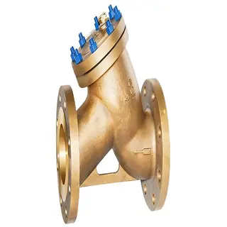 ASME B16.34 Brass Y Strainer, 2-24 Inch, Class 150-2500 LB